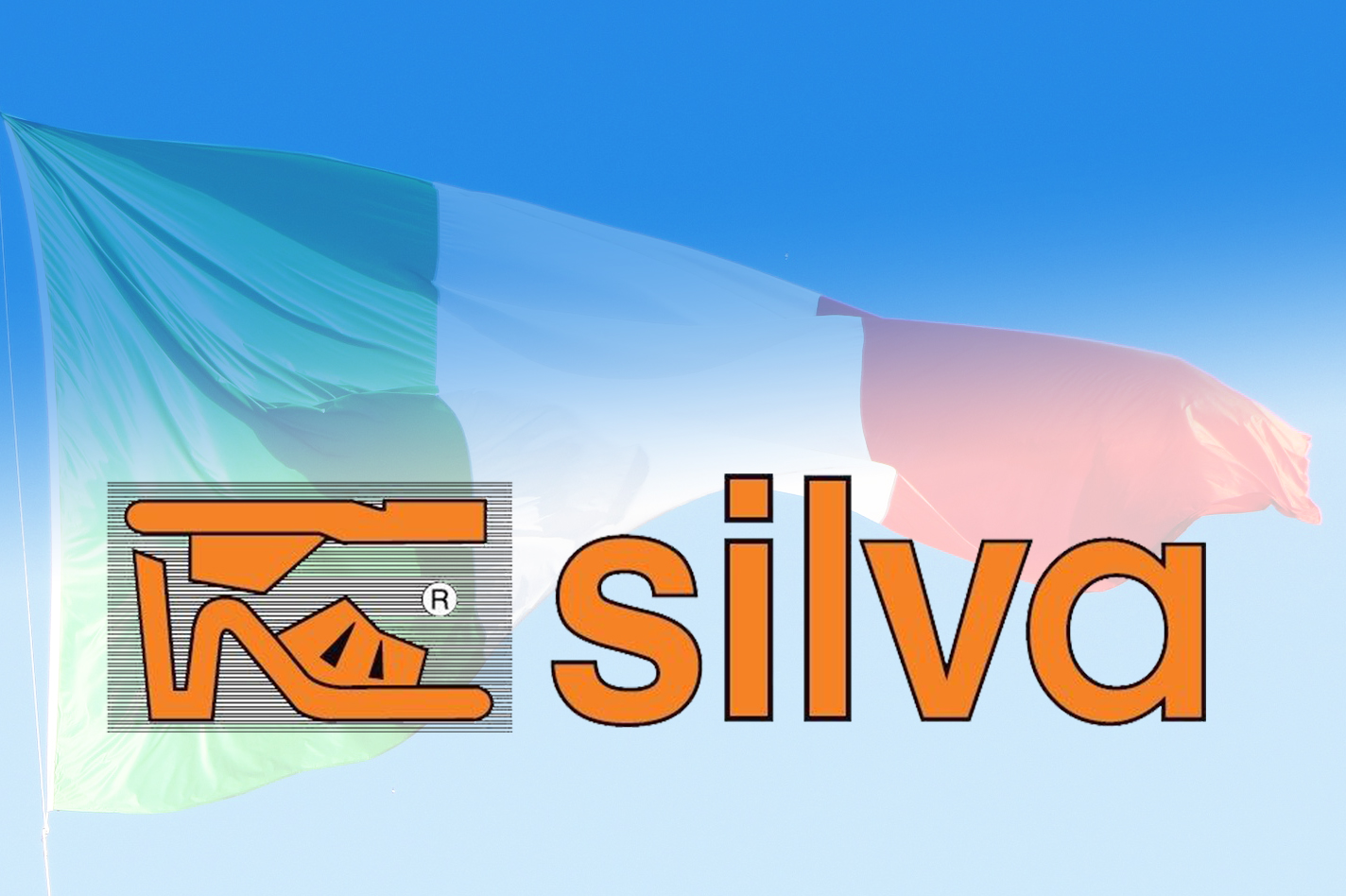 Logo Silva Snc